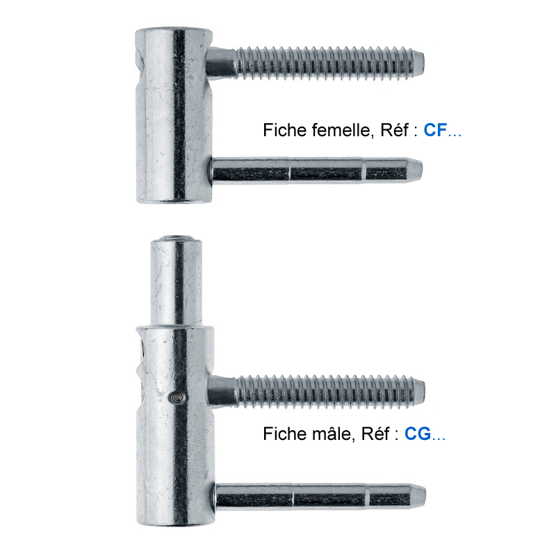 Fiches EXACTA 495 diamètre 20 mm